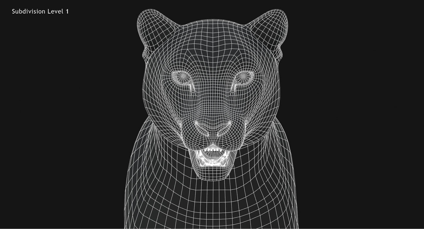 Snow Leopard 3D Model Head Close Up Wireframe view Subdivision Level 1