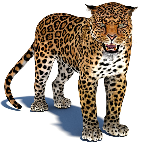 Rigged Jaguar 3D Model PROmax3D - 1
