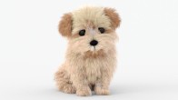 Dog: Maltipoo Dog Puppy Rigged 3D Model for Download - 149$ 
