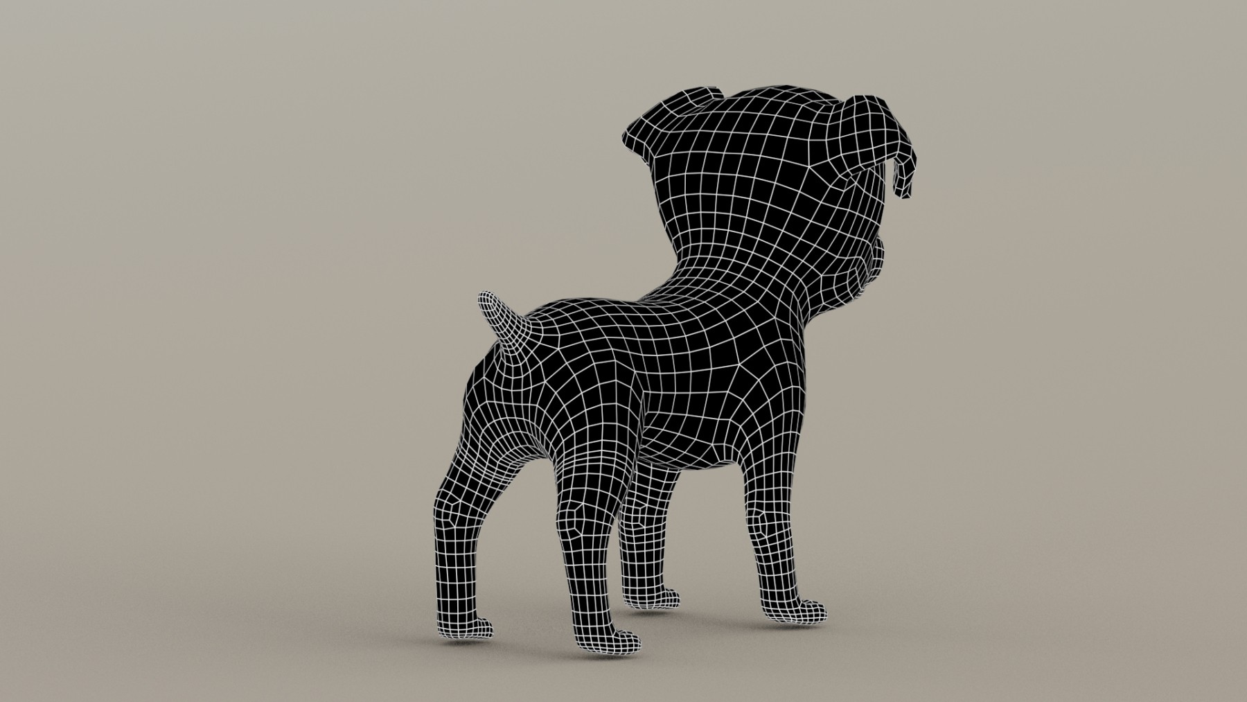 Maltipoo Dog Puppy Rigged 3D Model