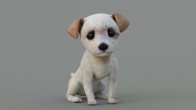 Dog: Maltipoo Dog Puppy Animated 3d Model for Download - 179$ 