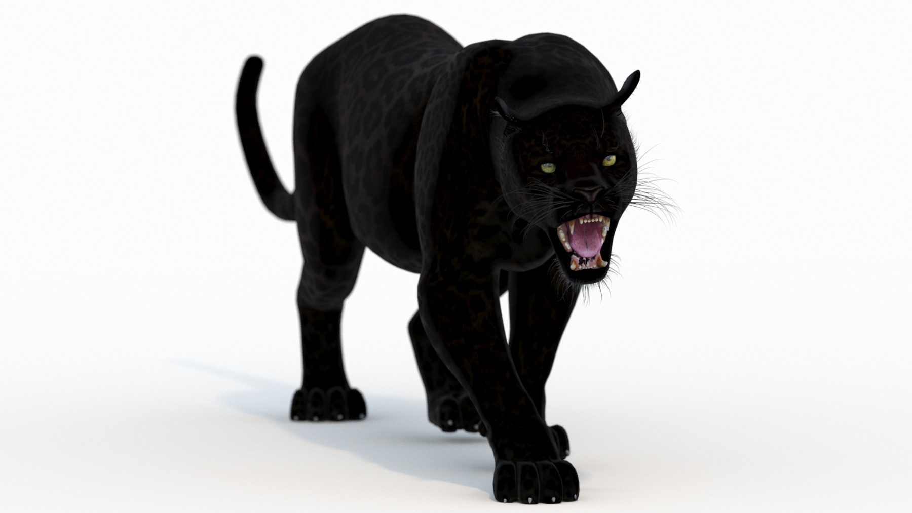 Black Panther 3d Model Animated