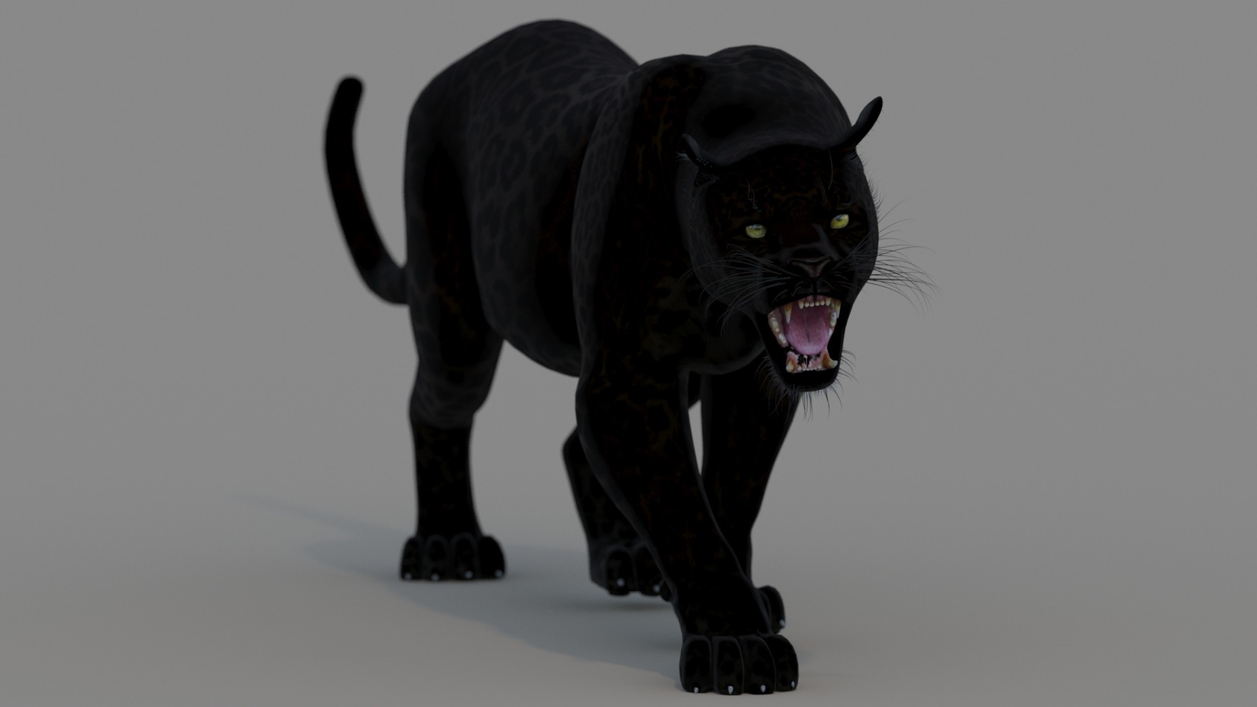 Animated Cougar 3d Model With Fur - 983209 by PROmax3d