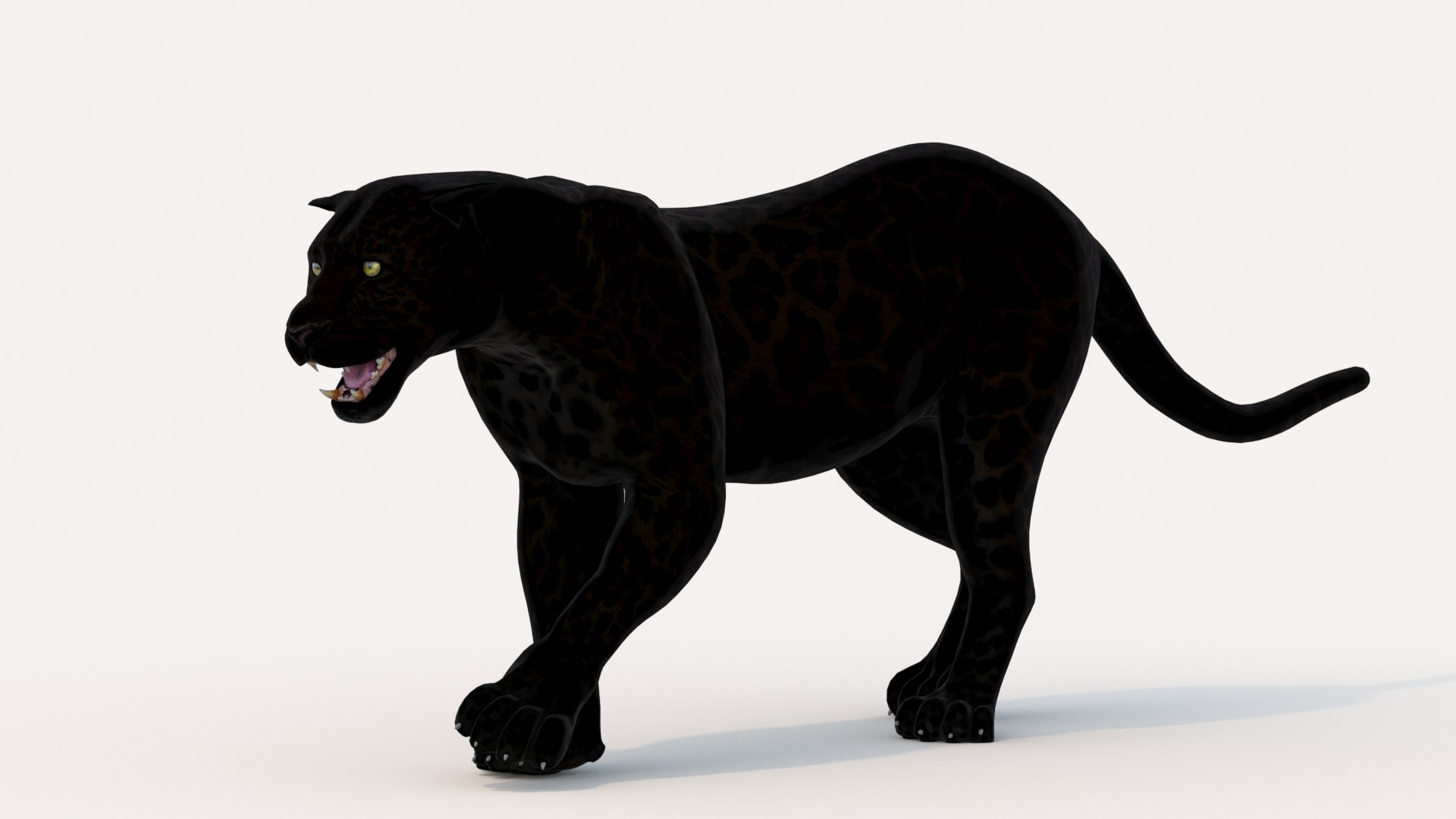 Animated Cougar 3d Model With Fur - 983209 by PROmax3d