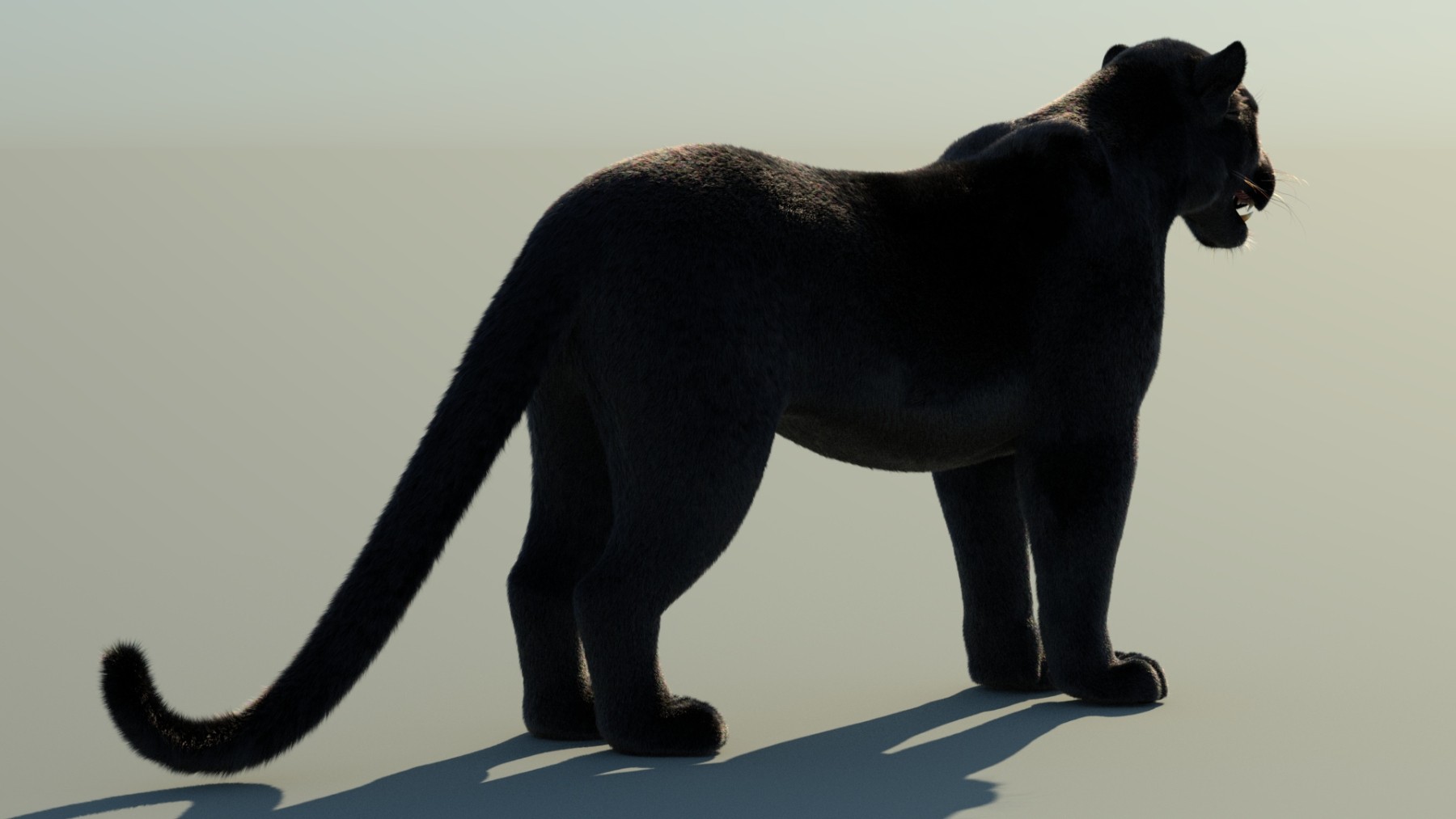 Black Panther Furry 3D Model