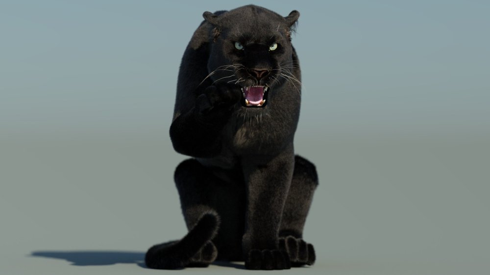 Rigged Black Panther 3D Model Fur - 2106552 - $299.00