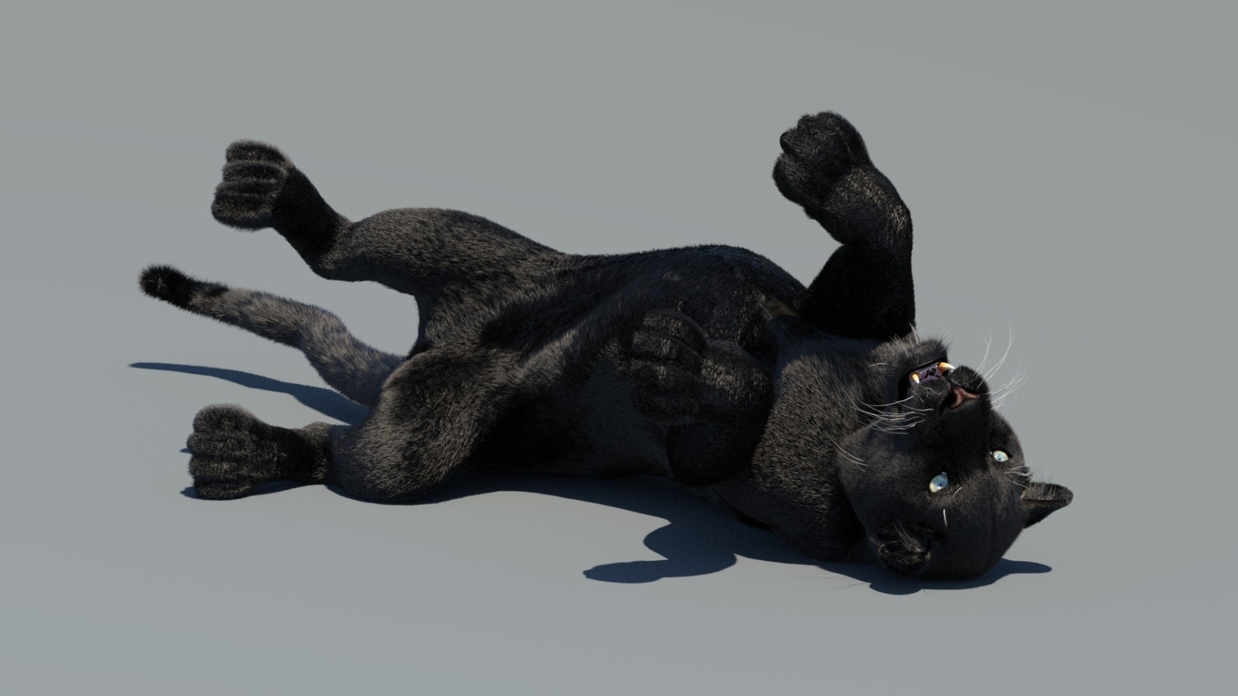 Rigged Black Panther 3D Model Fur