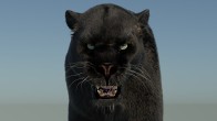 Panther: Rigged Black Panther 3D Model Fur for Download - 269$ 