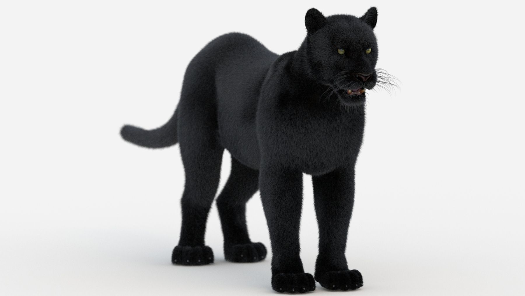 Furry Black Panther 3D Model