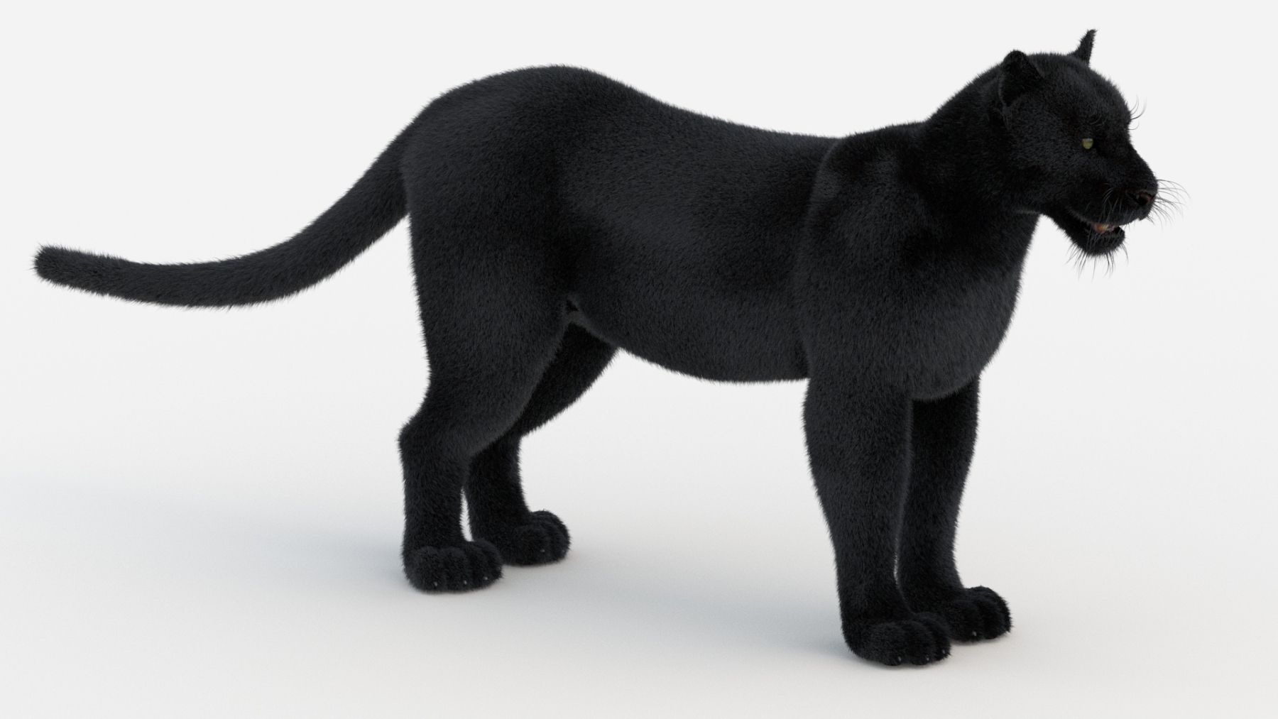 Furry Black Panther 3D Model