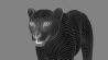 Cheetah: Cheetah 3D Model for Download - 99$ 