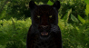 Big Cats: Big Cats 3D Model for Download - 169$ 