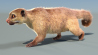 Kinkajou: Kinkajou Furry 3D Model Animated for Download - 459$ 