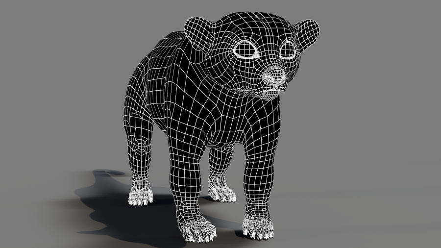 Kinkajou Furry 3D Model Animated