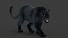 Black Panther: Black Panther Animated Fur 3d Model for Download - 169$ 