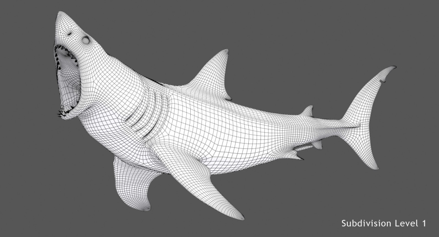 Rigged Great White Shark 3D Model