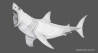 Great White Shark: Rigged Great White Shark 3D Model for Download - 89$ 