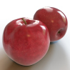 Red Delicious: Apple Red 3d Model for Download - 14$ 