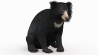 Sloth Bear: Sloth Bear 3d Model Rigged for Download - 149$ 
