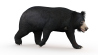 Sloth Bear: Sloth Bear 3D model Animated V2 for Download - 229$ 