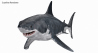 Great White Shark: Great White Shark 3D Model for Download - 69$ 