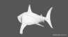 Great White Shark: Great White Shark 3D Model for Download - 69$ 