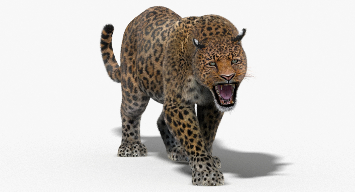 Animated Furry Big Cats 3D Model  - 47