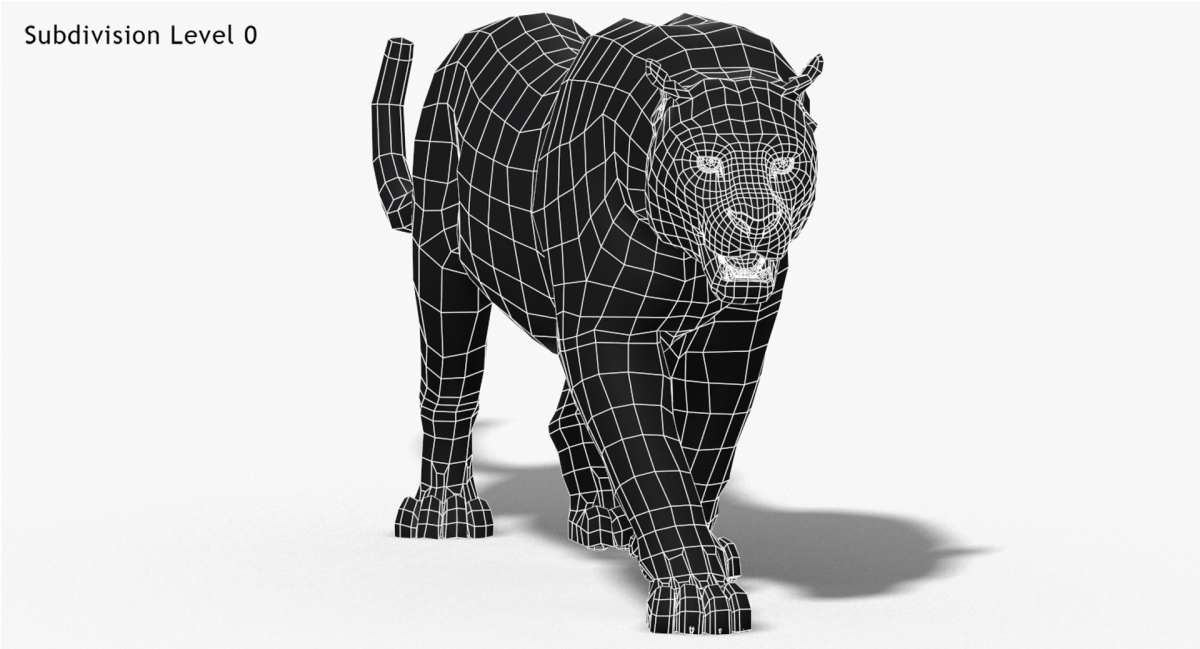 Animated Furry Big Cats 3D Model  - 61
