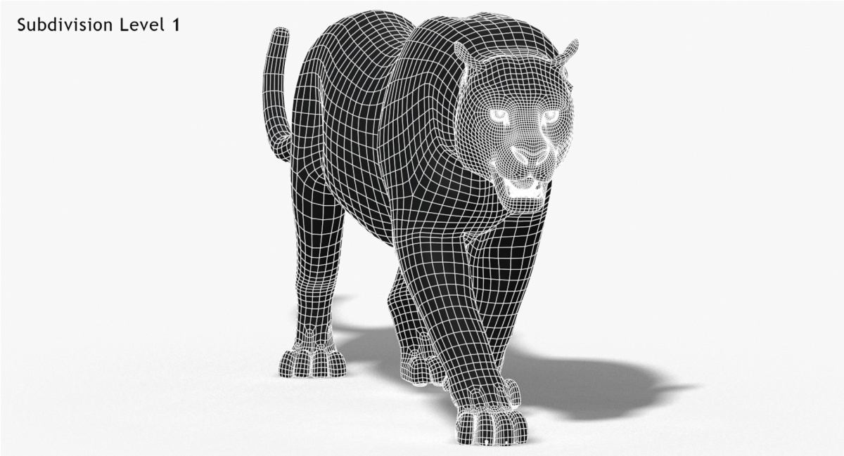 Animated Furry Big Cats 3D Model  - 62