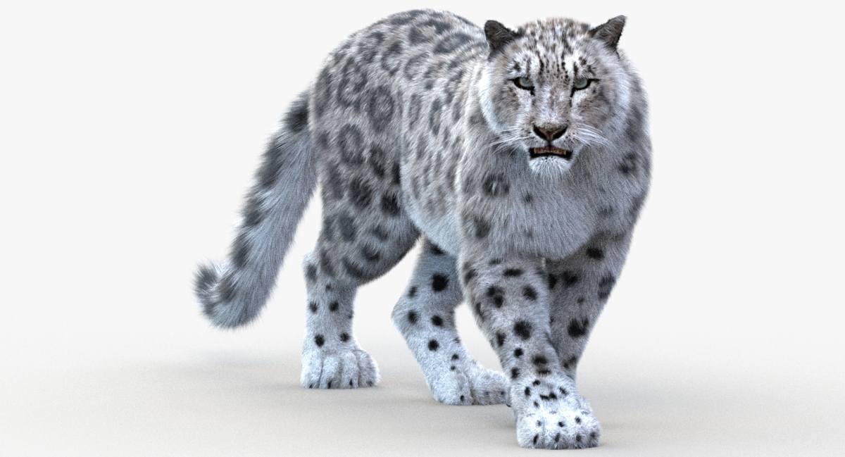 Animated Furry Big Cats 3D Model  - 67