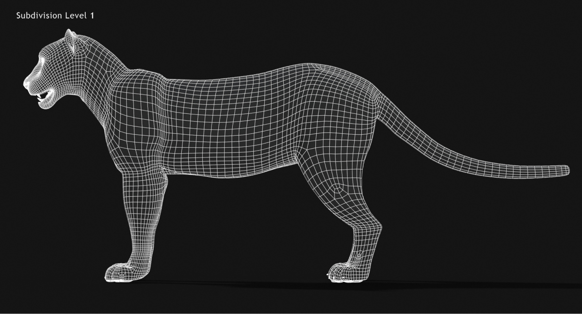 Animated Furry Big Cats 3D Model  - 87