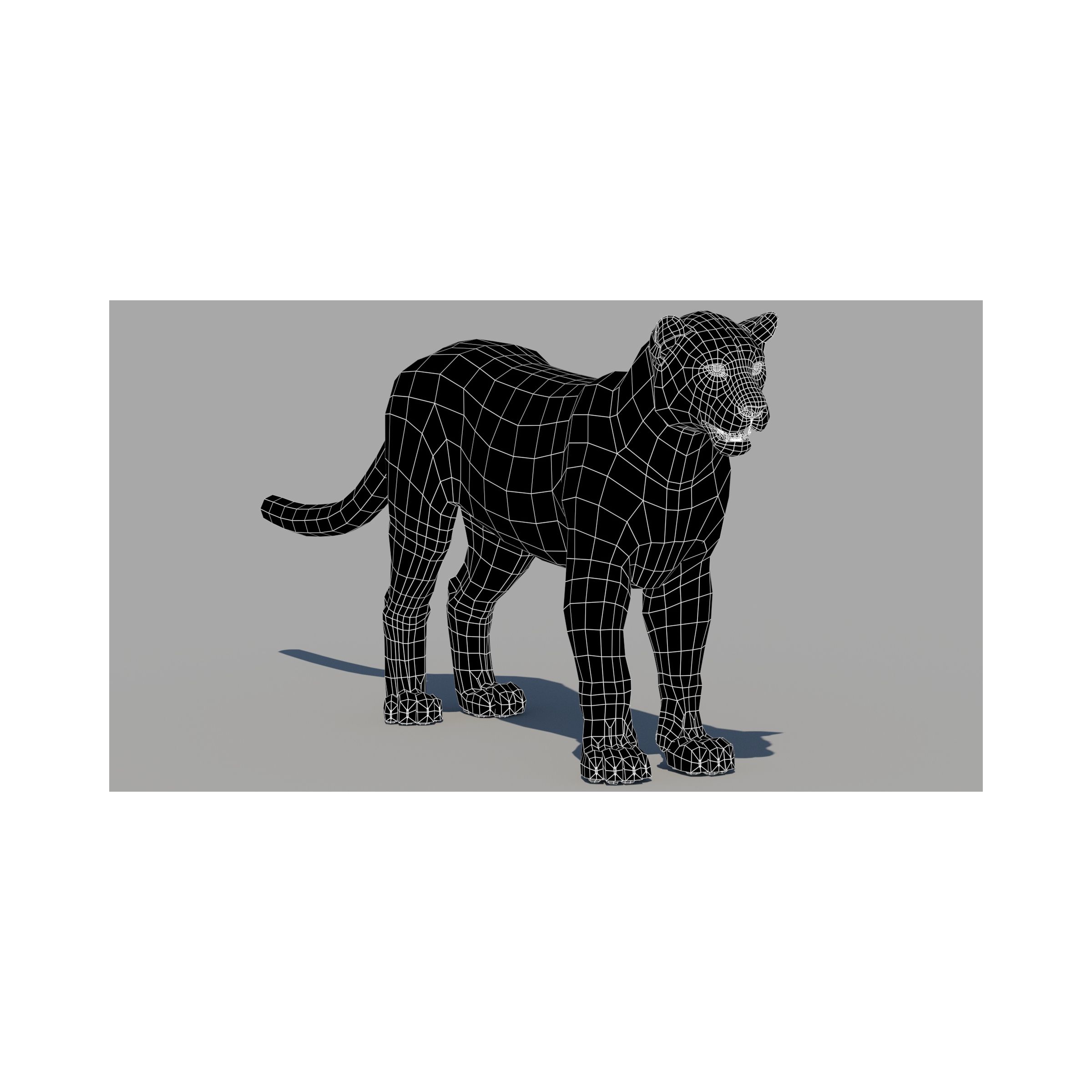 Rigged Leopard: Rigged Sri Lankan Leopard 3D Model for Download - 229$ 