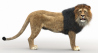 Lion: Lion 3D Model Rigged Fur for Download - 89$ 