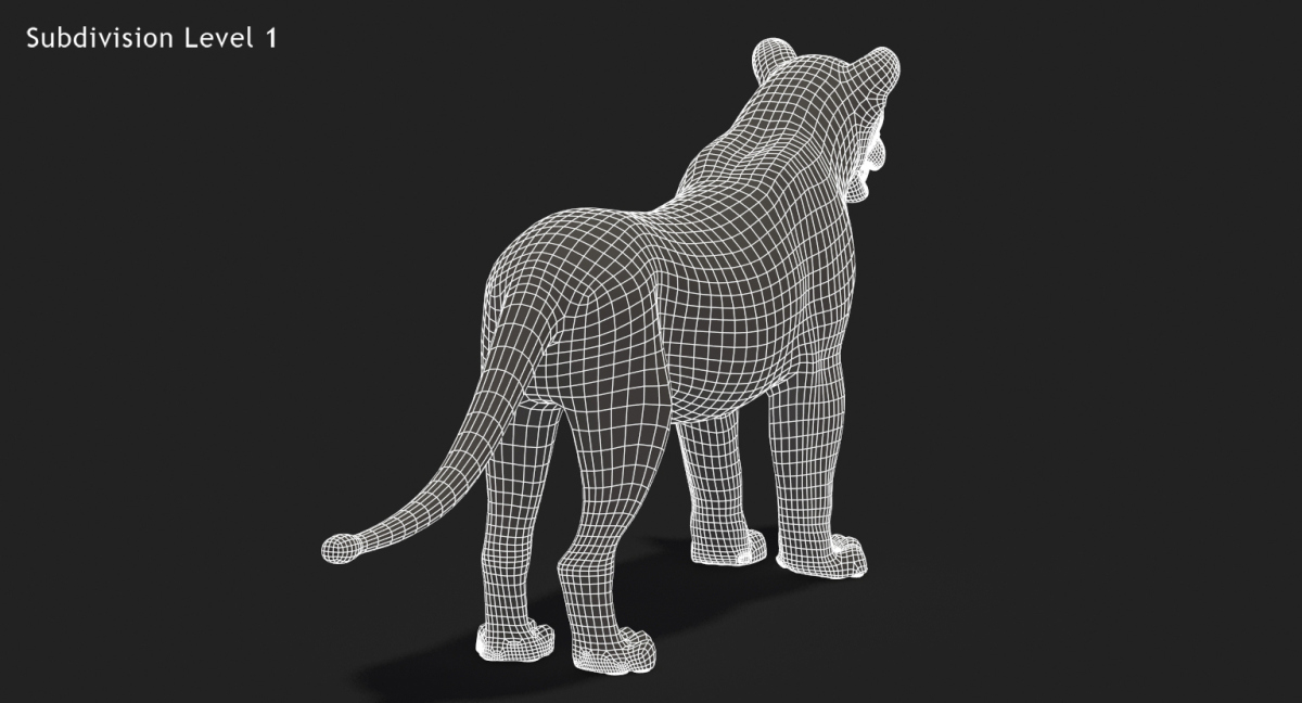 Big Cats Animated 3d Model  - 41
