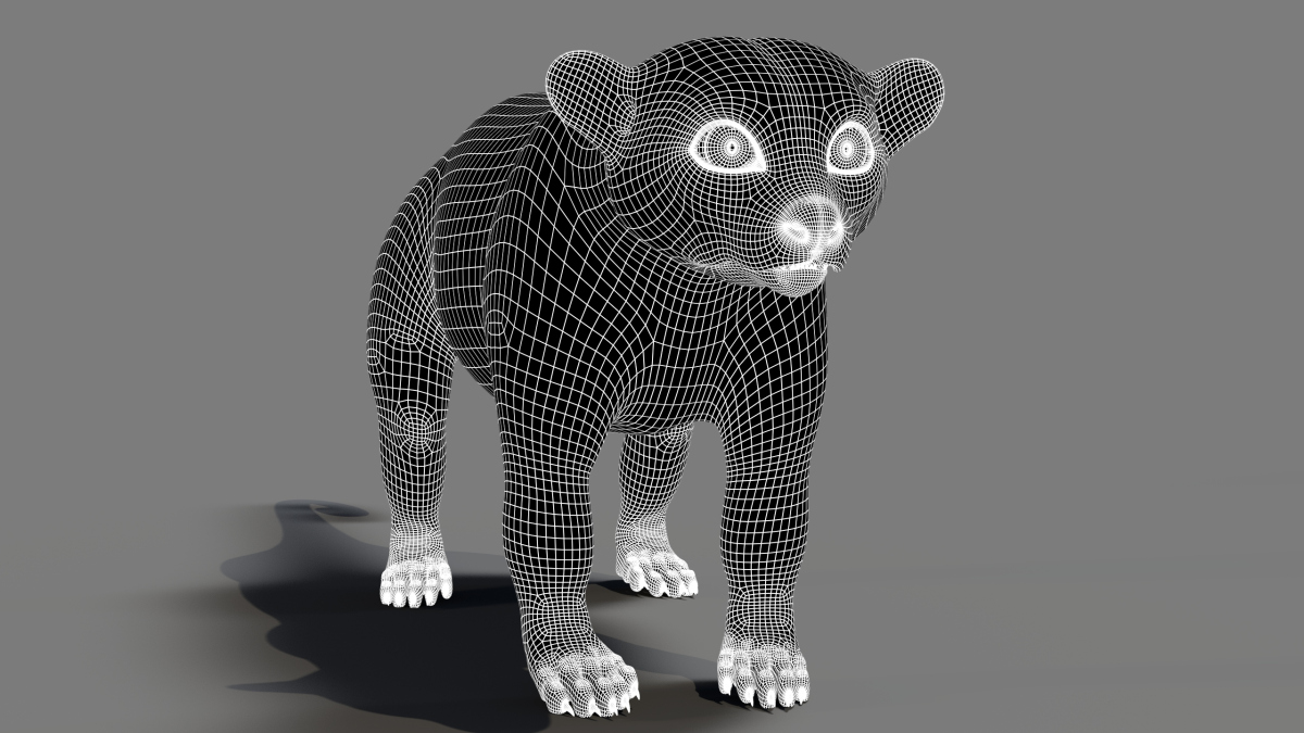 Rigged Furry Kinkajou 3D Model