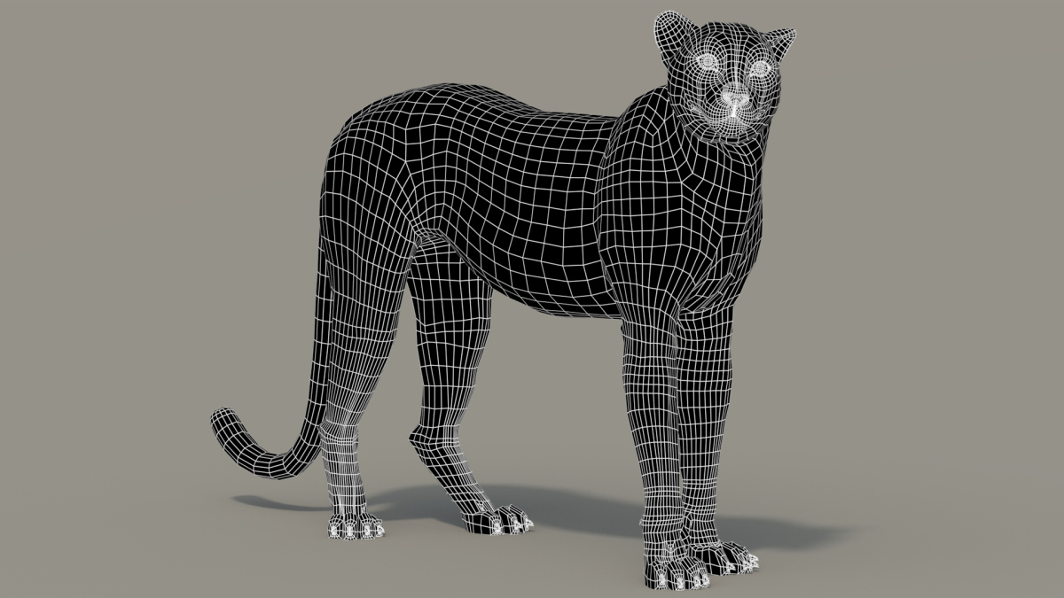 Rigged Cheetah 3D Model  - 19