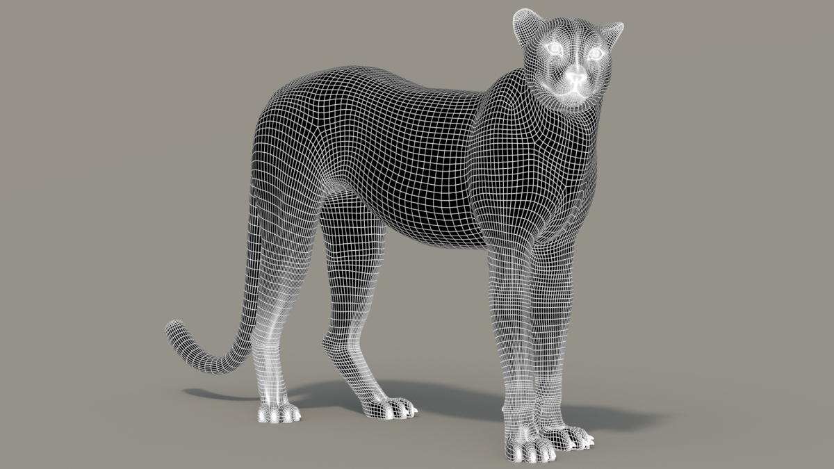 Rigged Cheetah 3D Model  - 20