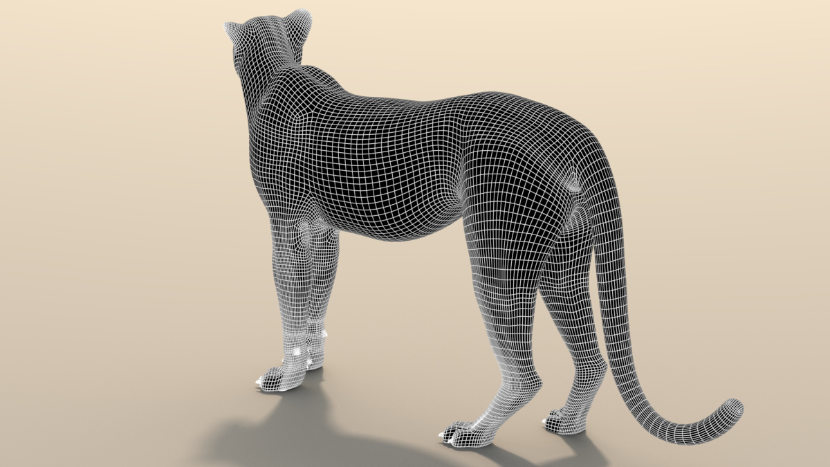 Rigged Cheetah 3D Model  - 22