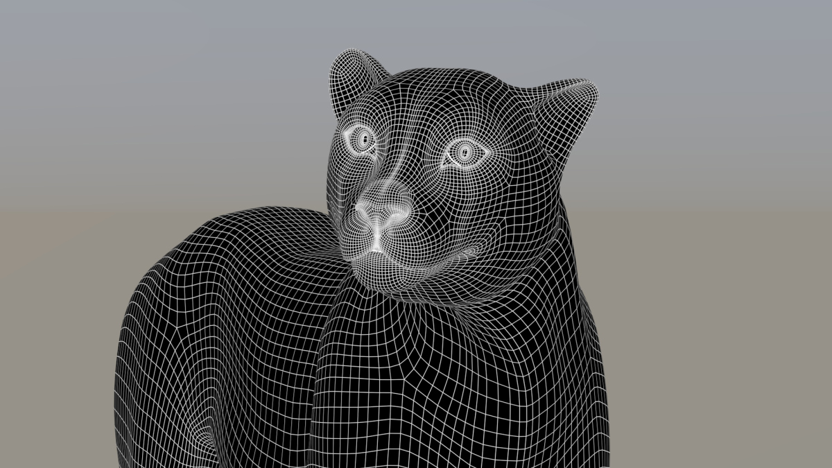 Rigged Cheetah 3D Model  - 24