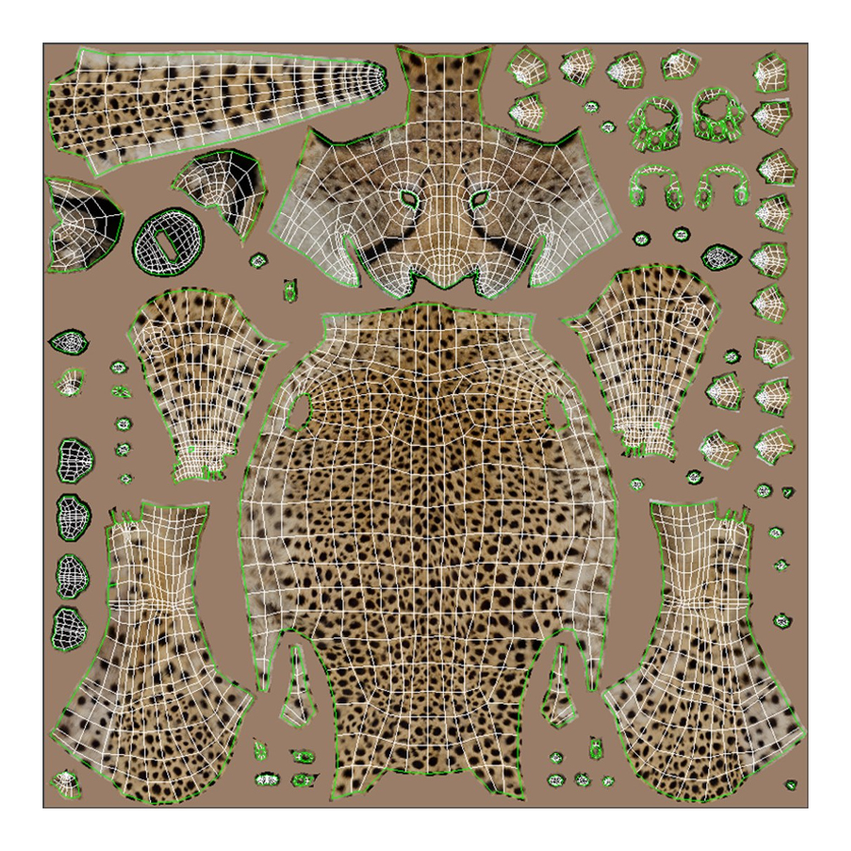 Rigged Cheetah 3D Model  - 25