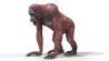 Orangutan: Rigged Female Orangutan 3D Model for Download - 169$ 