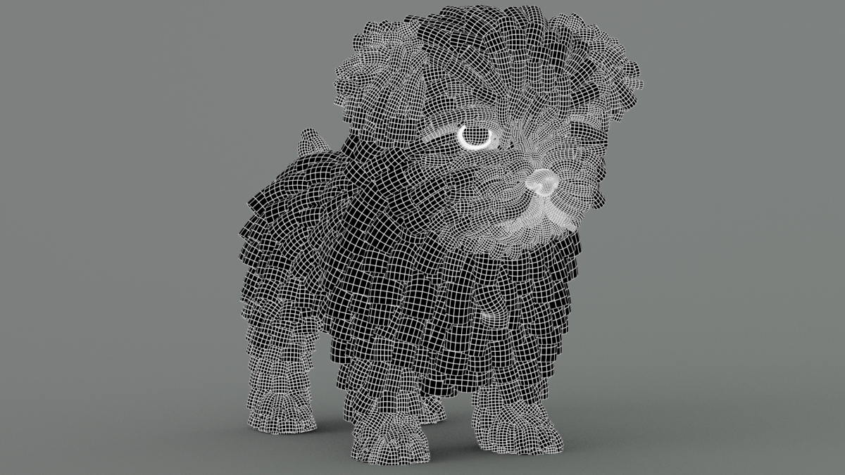 Maltipoo Dog Puppy 3D Model