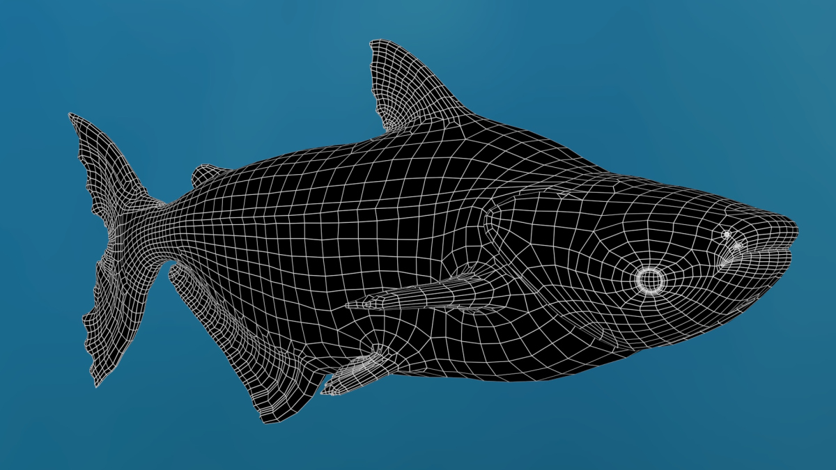Rigged Mekong Giant Catfish 3D Model