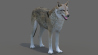 Wolf: Red Wolf 3D Model for Download - 99$ 