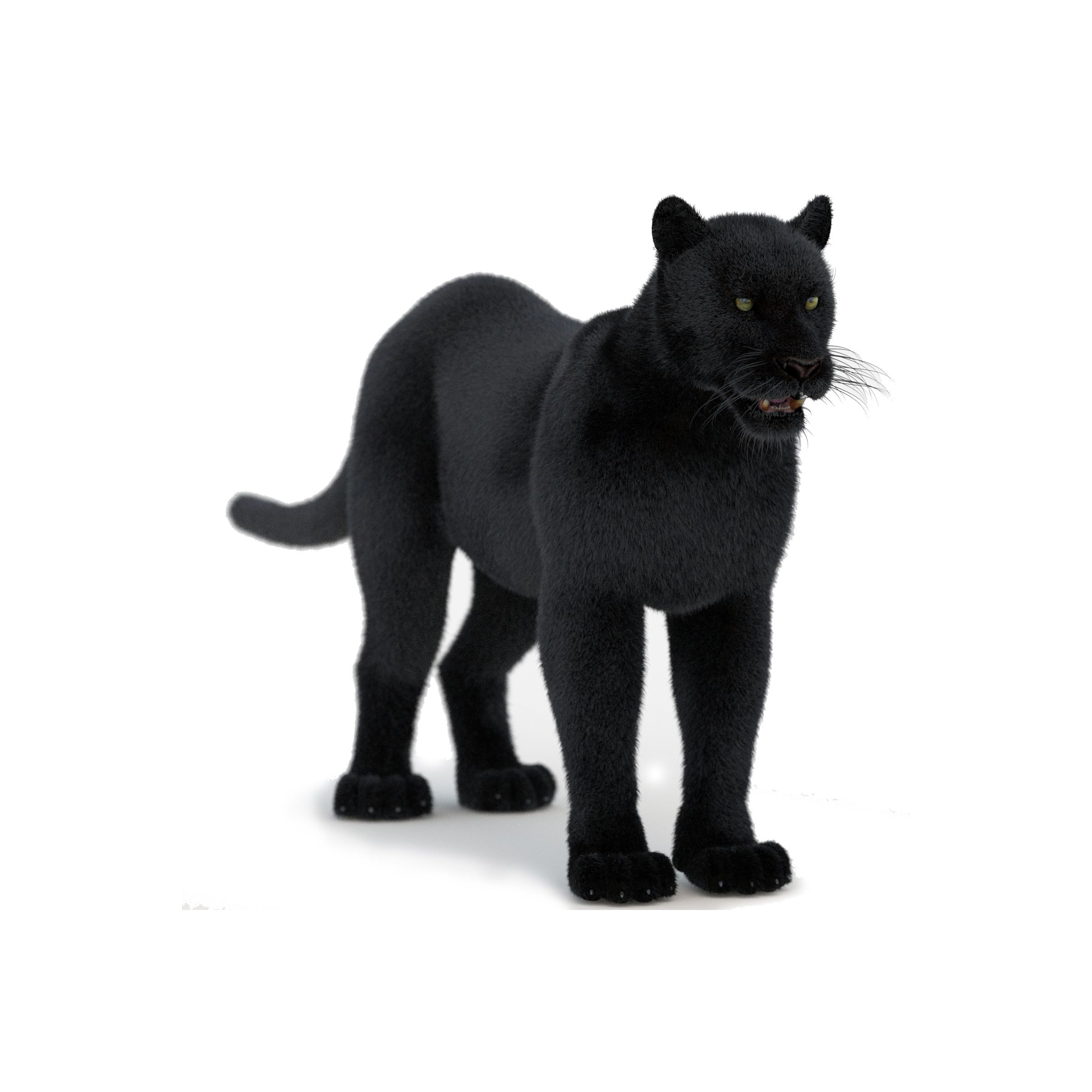 Furry Black Panther 3D Model  - 1