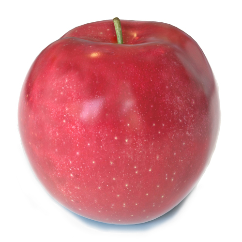 Apple Red 3d Model  - 1