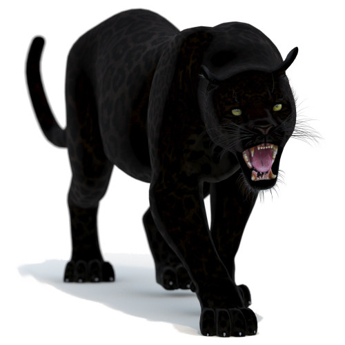 Black Panther 3d Model Animated  - 1