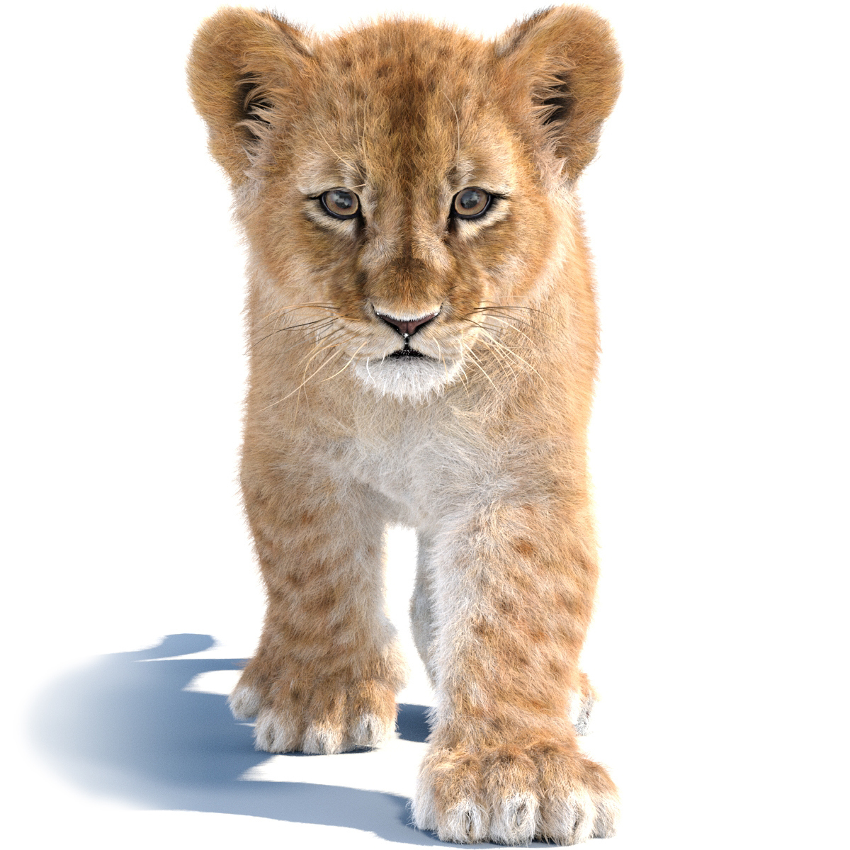 Animated Furry Lion Cub 3D Model  - 1