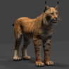 Big Cats: Big Cats 02 3D Model for Download - 139$ 