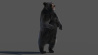 Black Bear: Black Bear Rigged Fur 3D Model for Download - 349$ 
